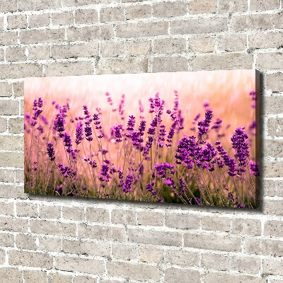 Canvas wall art Lavender