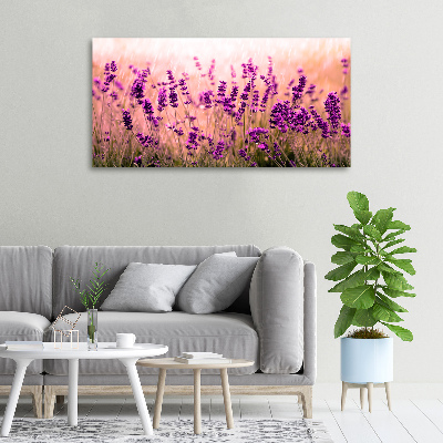 Canvas wall art Lavender