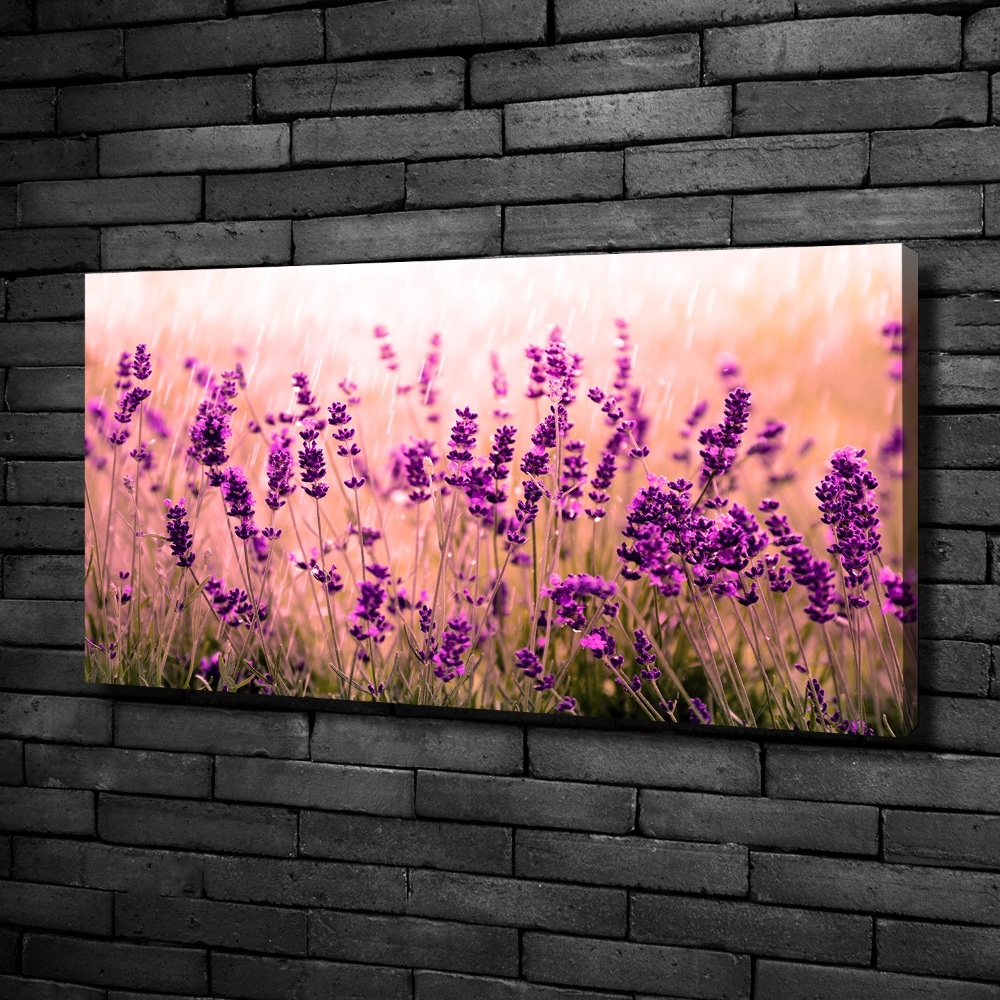 Canvas wall art Lavender