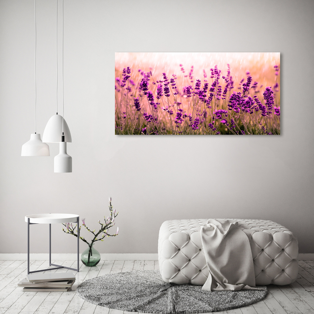 Canvas wall art Lavender