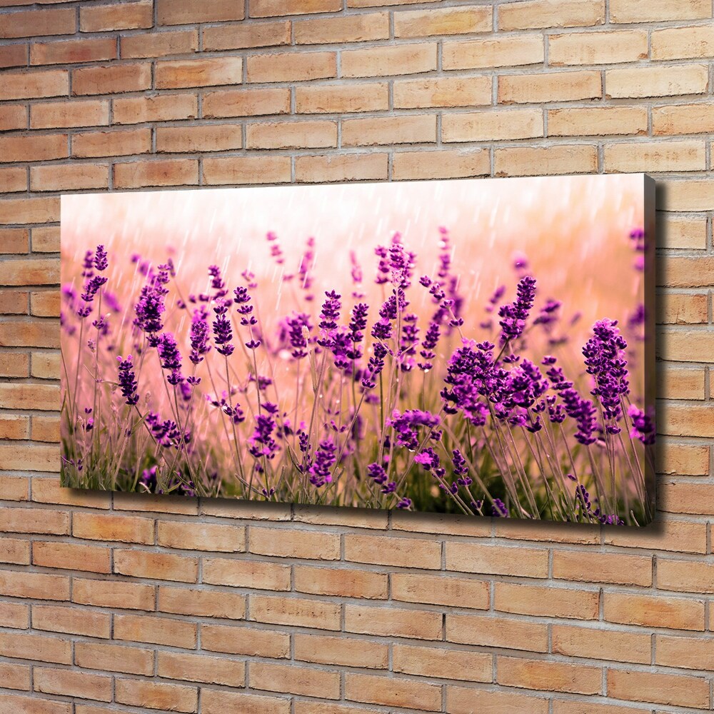 Canvas wall art Lavender