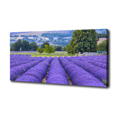 Canvas wall art Lavender field