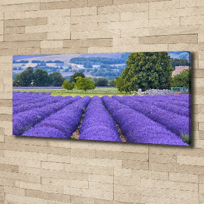 Canvas wall art Lavender field