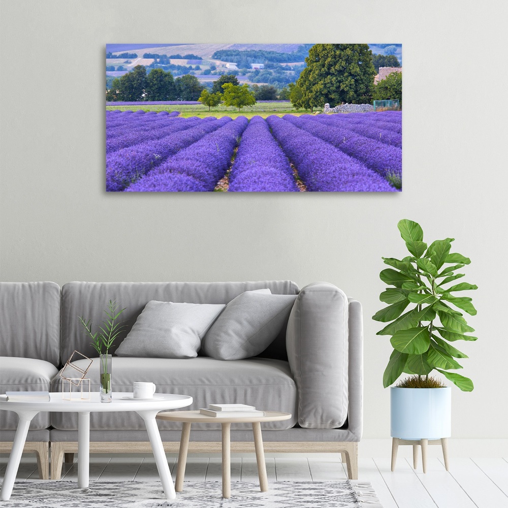 Canvas wall art Lavender field