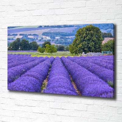 Canvas wall art Lavender field