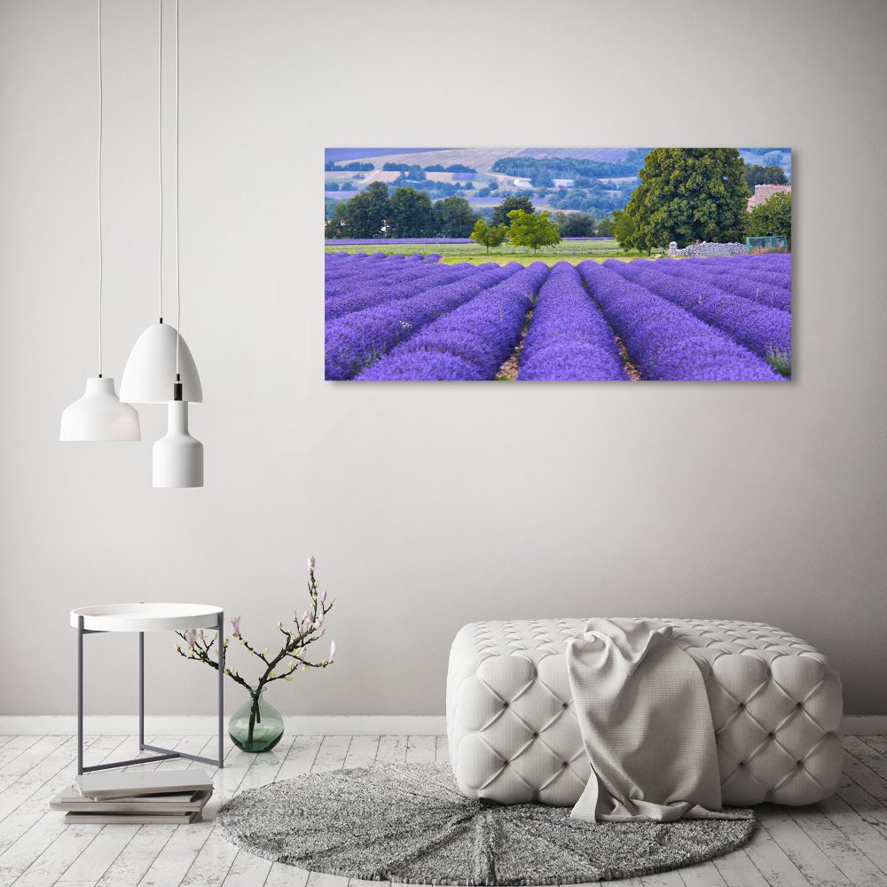 Canvas wall art Lavender field