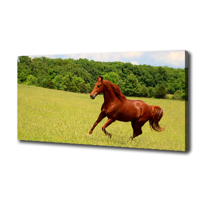 Canvas wall art Horse on the meadow