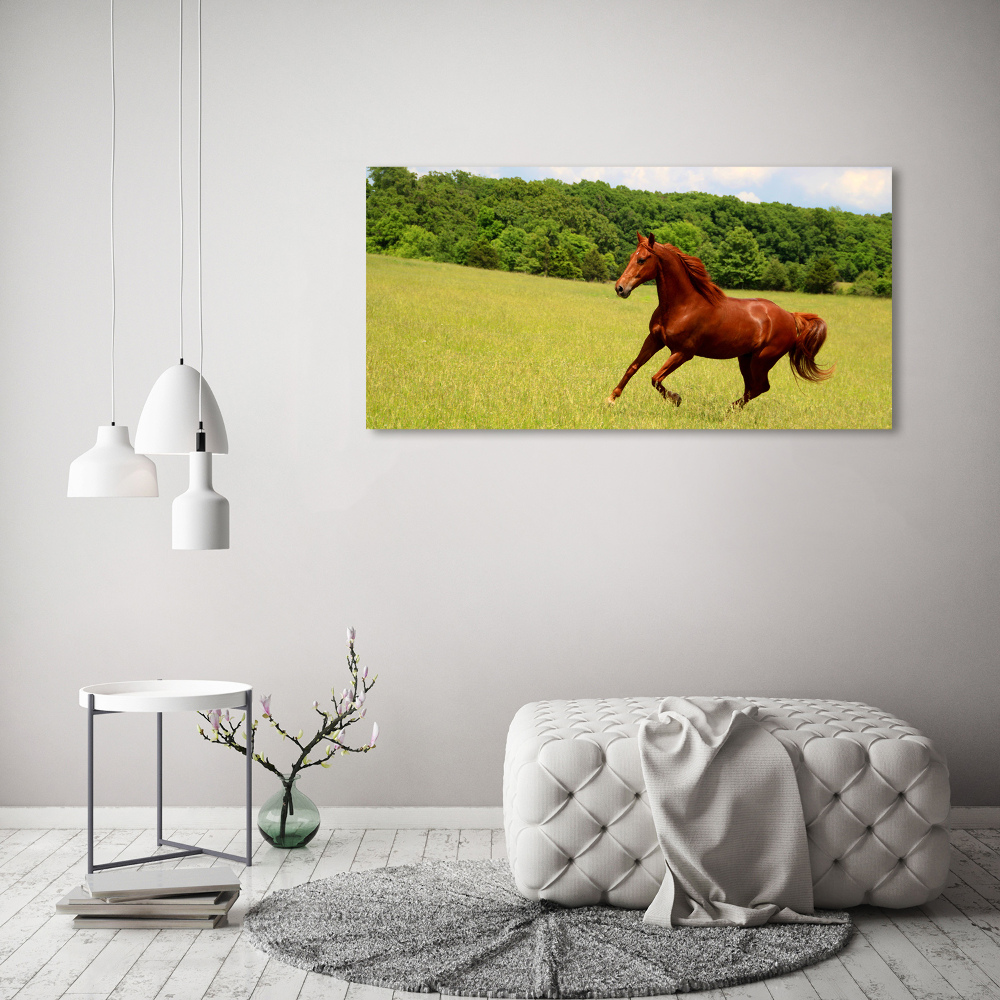 Canvas wall art Horse on the meadow