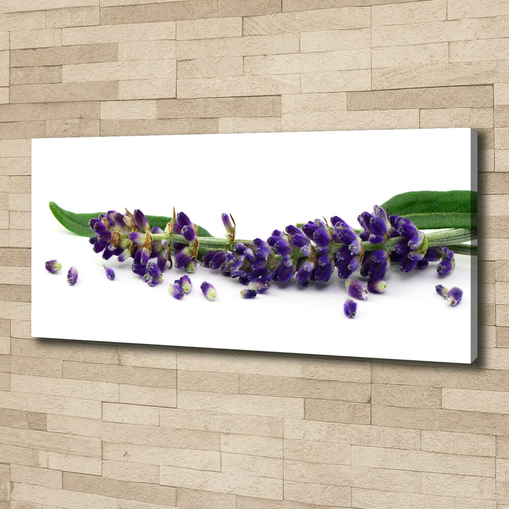 Canvas wall art Lavender