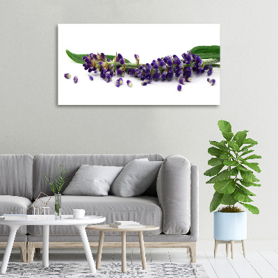 Canvas wall art Lavender