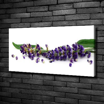 Canvas wall art Lavender