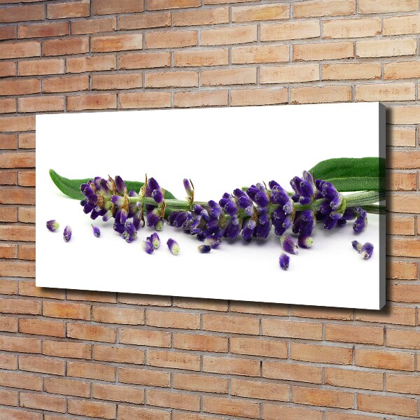 Canvas wall art Lavender