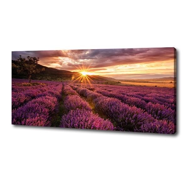 Canvas wall art Lavender field