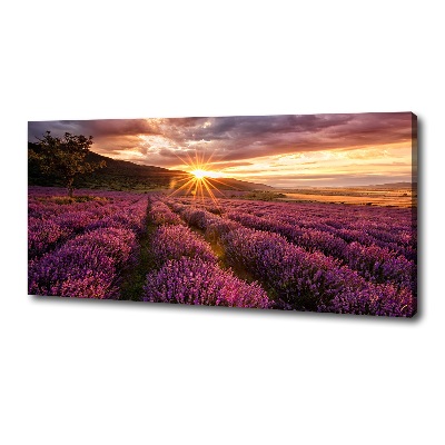 Canvas wall art Lavender field