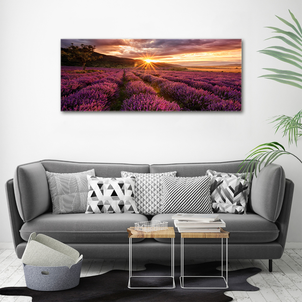 Canvas wall art Lavender field