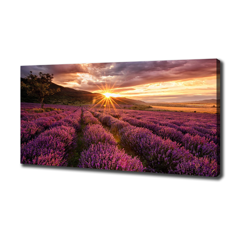 Canvas wall art Lavender field