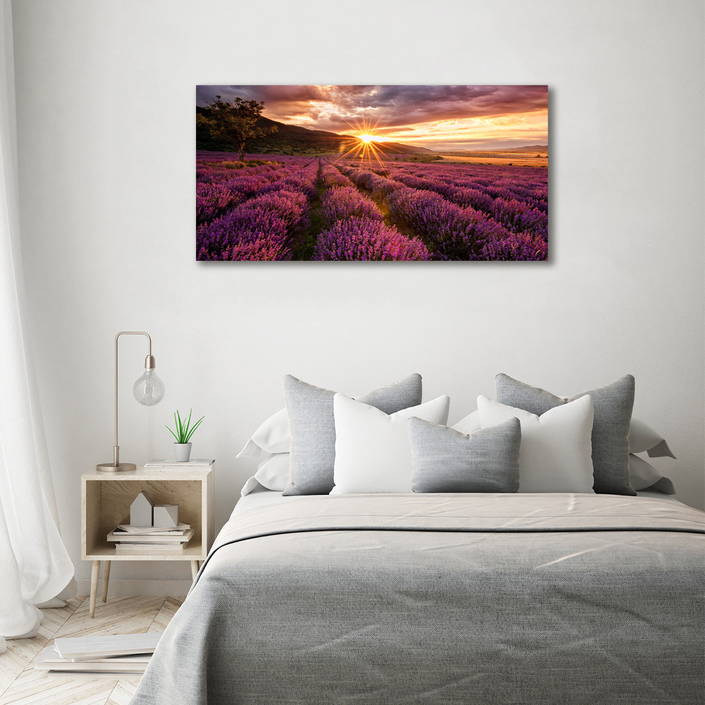 Canvas wall art Lavender field