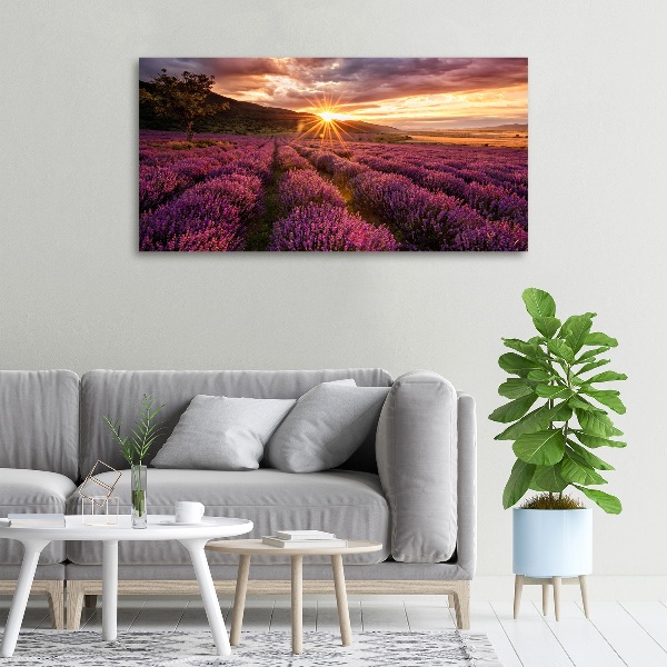 Canvas wall art Lavender field