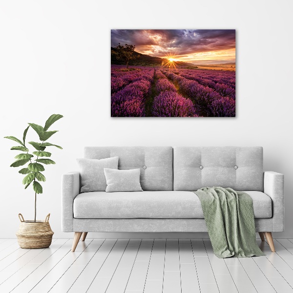 Canvas wall art Lavender field