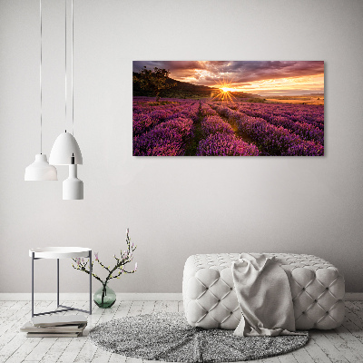 Canvas wall art Lavender field