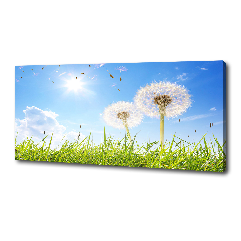 Canvas wall art dandelions