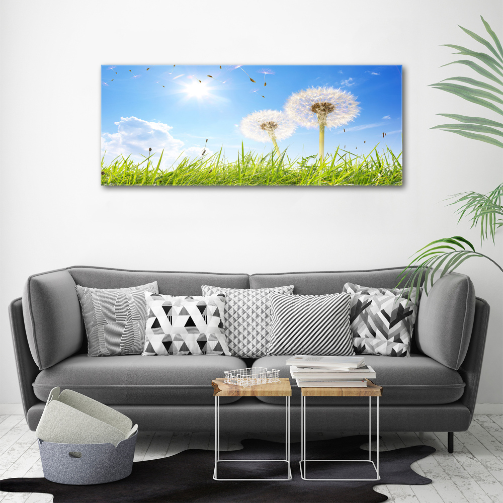 Canvas wall art dandelions