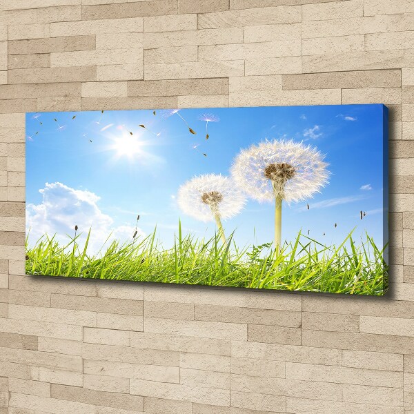 Canvas wall art dandelions