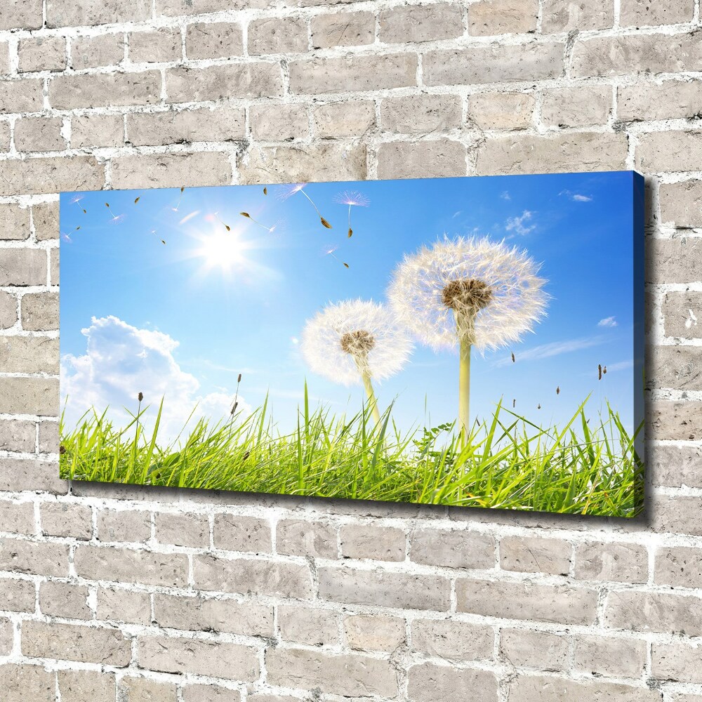 Canvas wall art dandelions