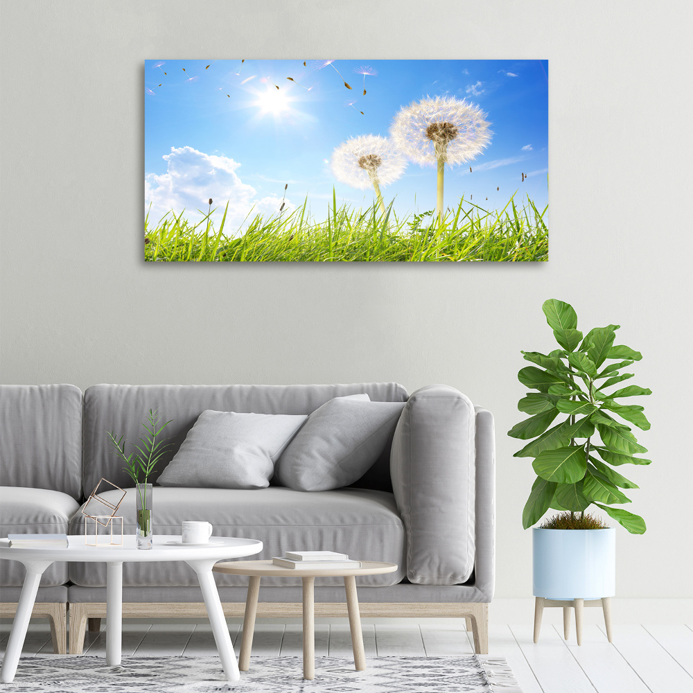 Canvas wall art dandelions