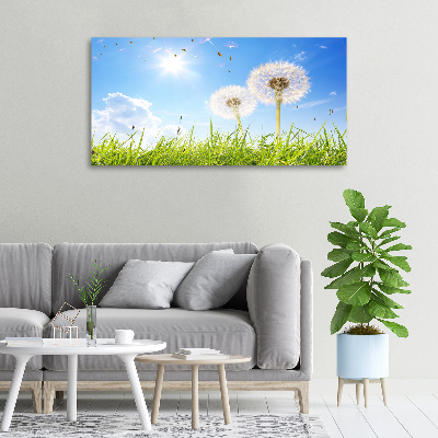 Canvas wall art dandelions