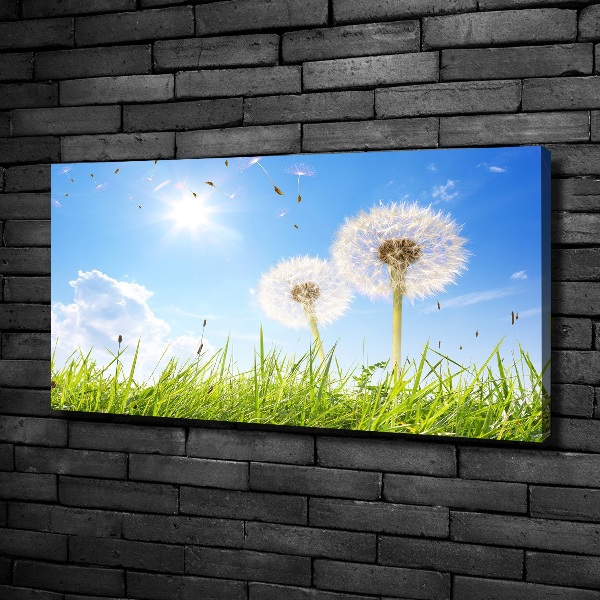 Canvas wall art dandelions