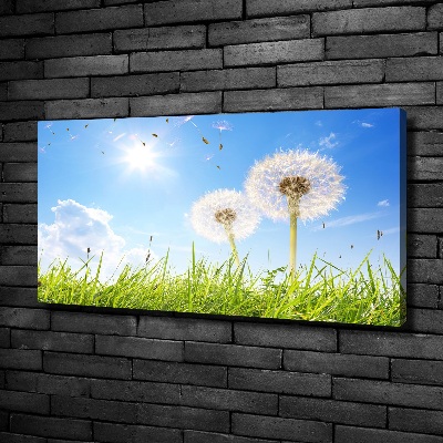 Canvas wall art dandelions