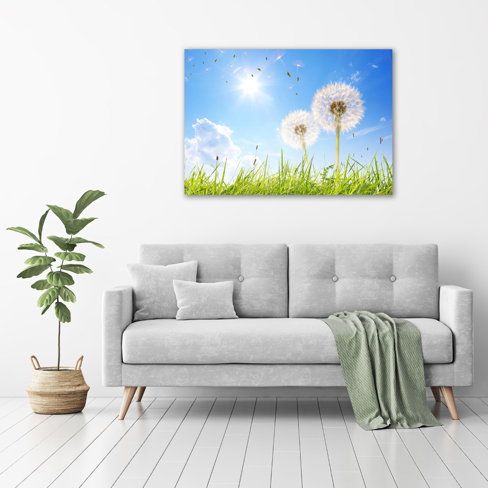 Canvas wall art dandelions