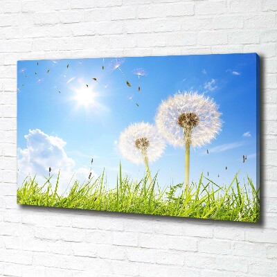 Canvas wall art dandelions