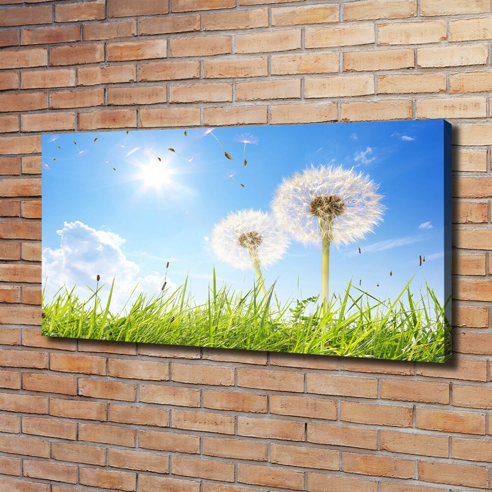 Canvas wall art dandelions