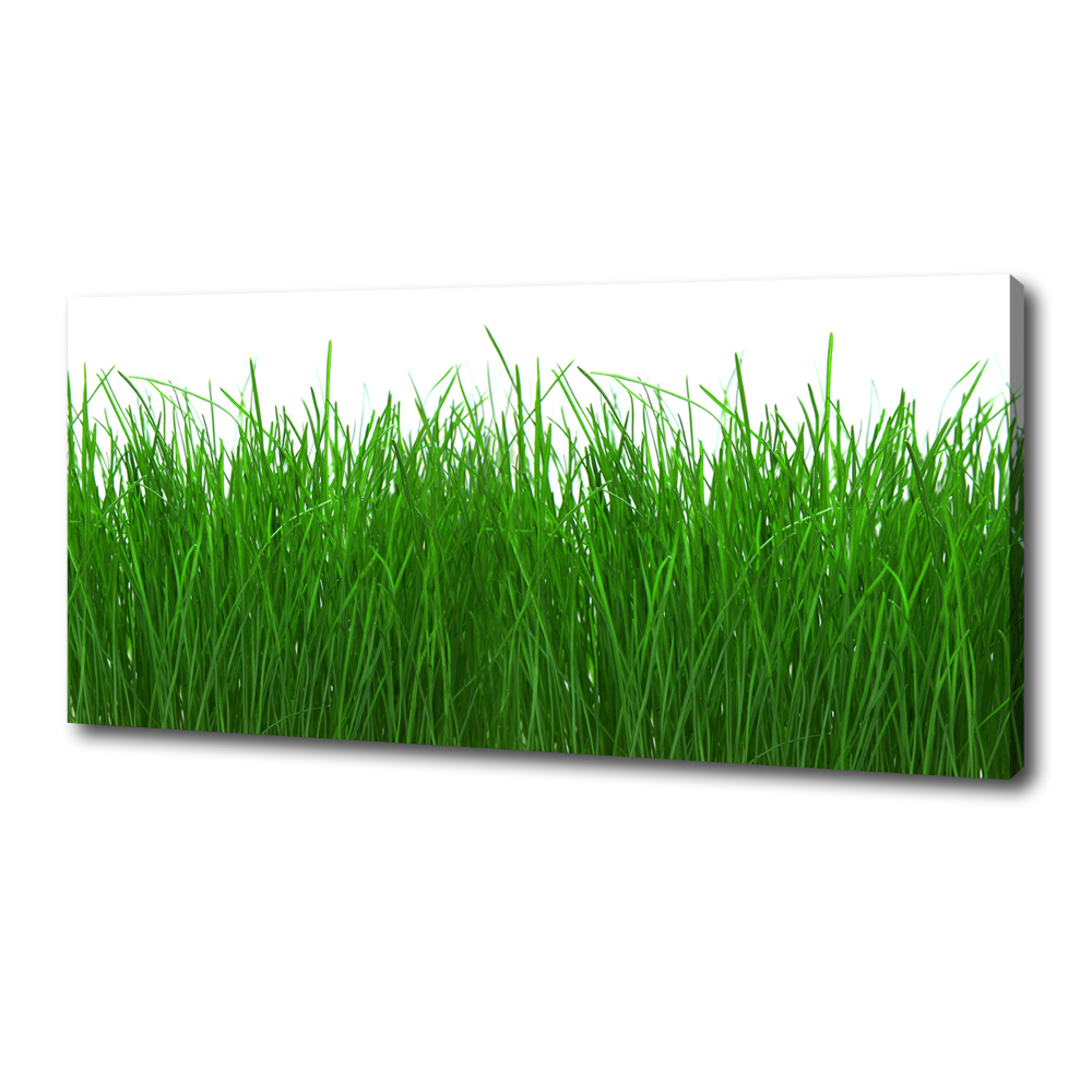 Canvas wall art Grass