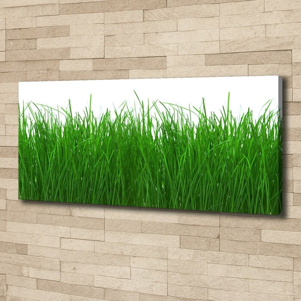 Canvas wall art Grass