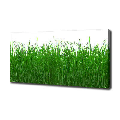 Canvas wall art Grass