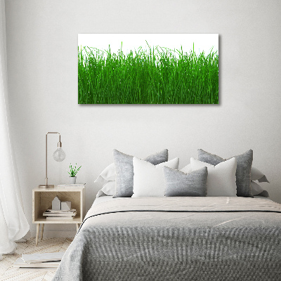 Canvas wall art Grass