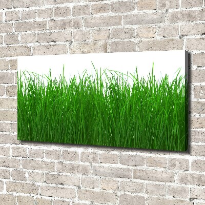 Canvas wall art Grass