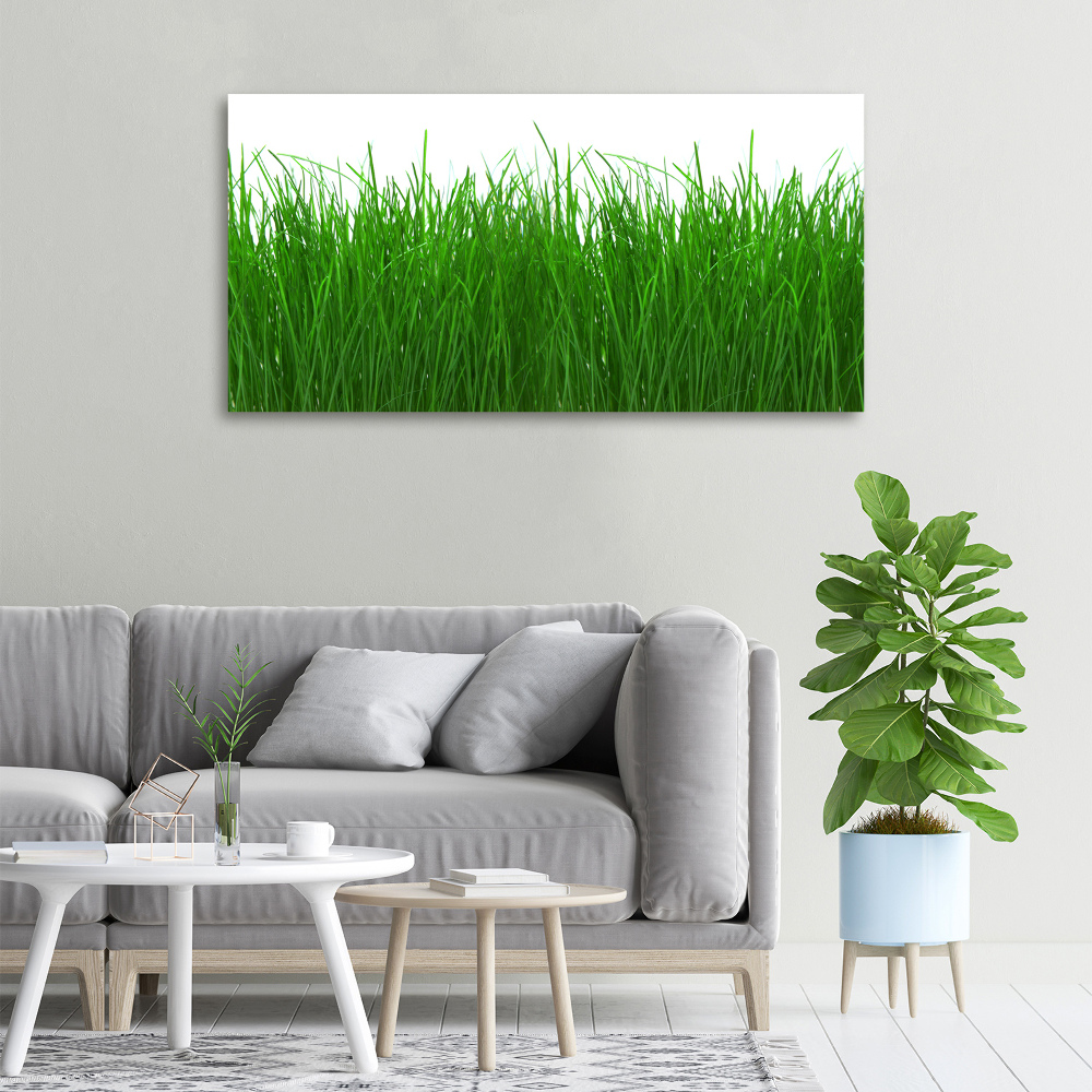 Canvas wall art Grass