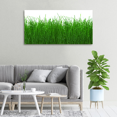 Canvas wall art Grass