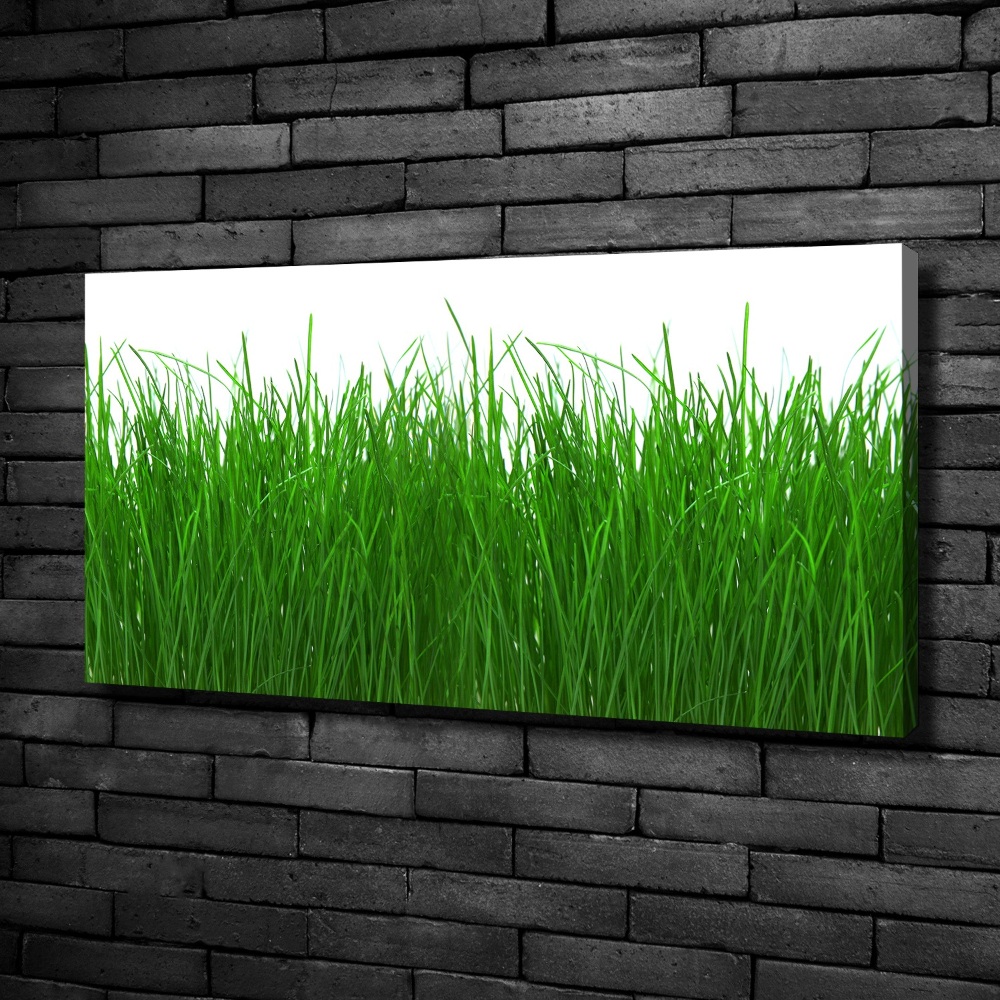 Canvas wall art Grass