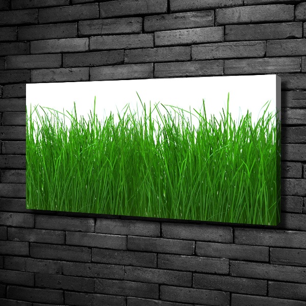 Canvas wall art Grass