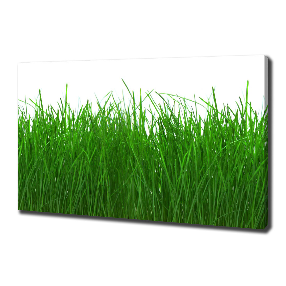 Canvas wall art Grass