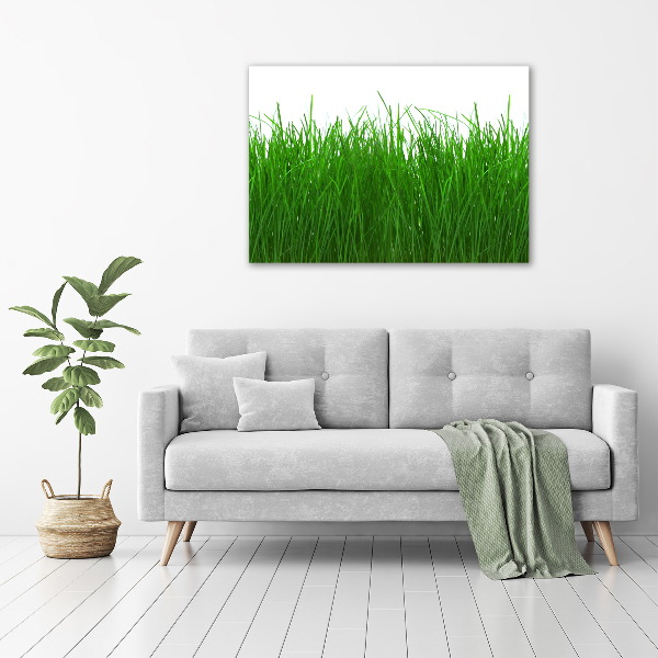 Canvas wall art Grass