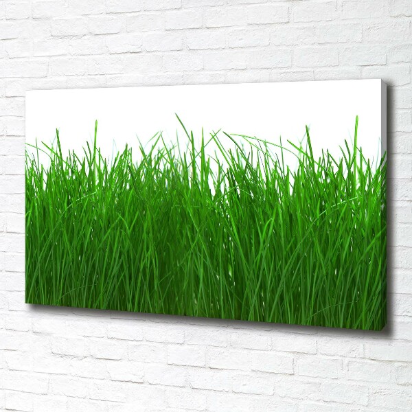 Canvas wall art Grass