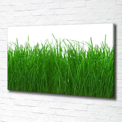 Canvas wall art Grass