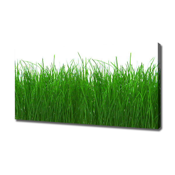 Canvas wall art Grass