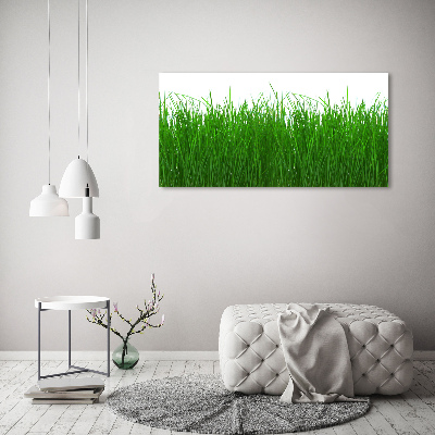 Canvas wall art Grass